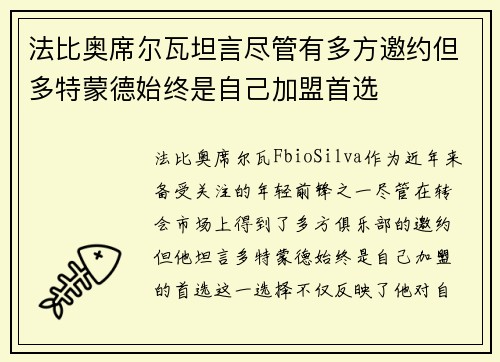 法比奥席尔瓦坦言尽管有多方邀约但多特蒙德始终是自己加盟首选
